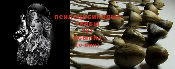 2c-b Заволжск